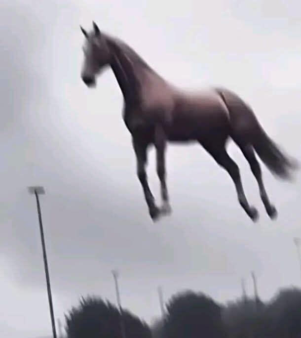 me when you commission me